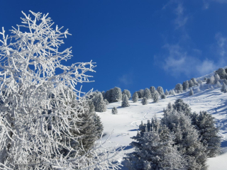 Chalets de la Vanoise N° 3303