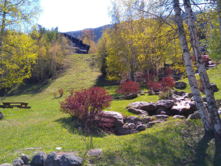 Chalet Petit Bonheur N° 80